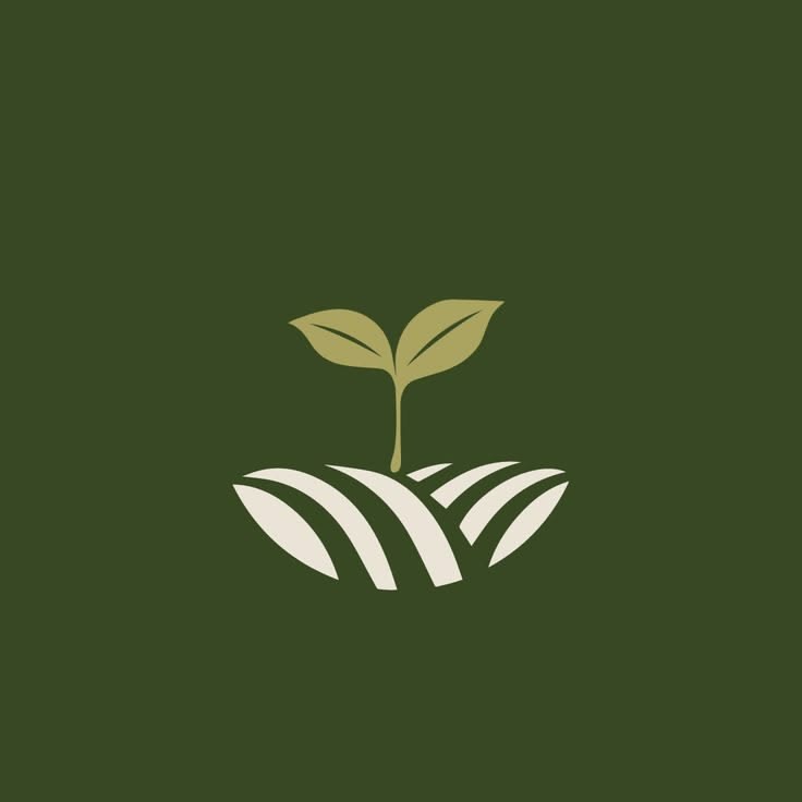 Catálogo de productos de cannabis medicinal
