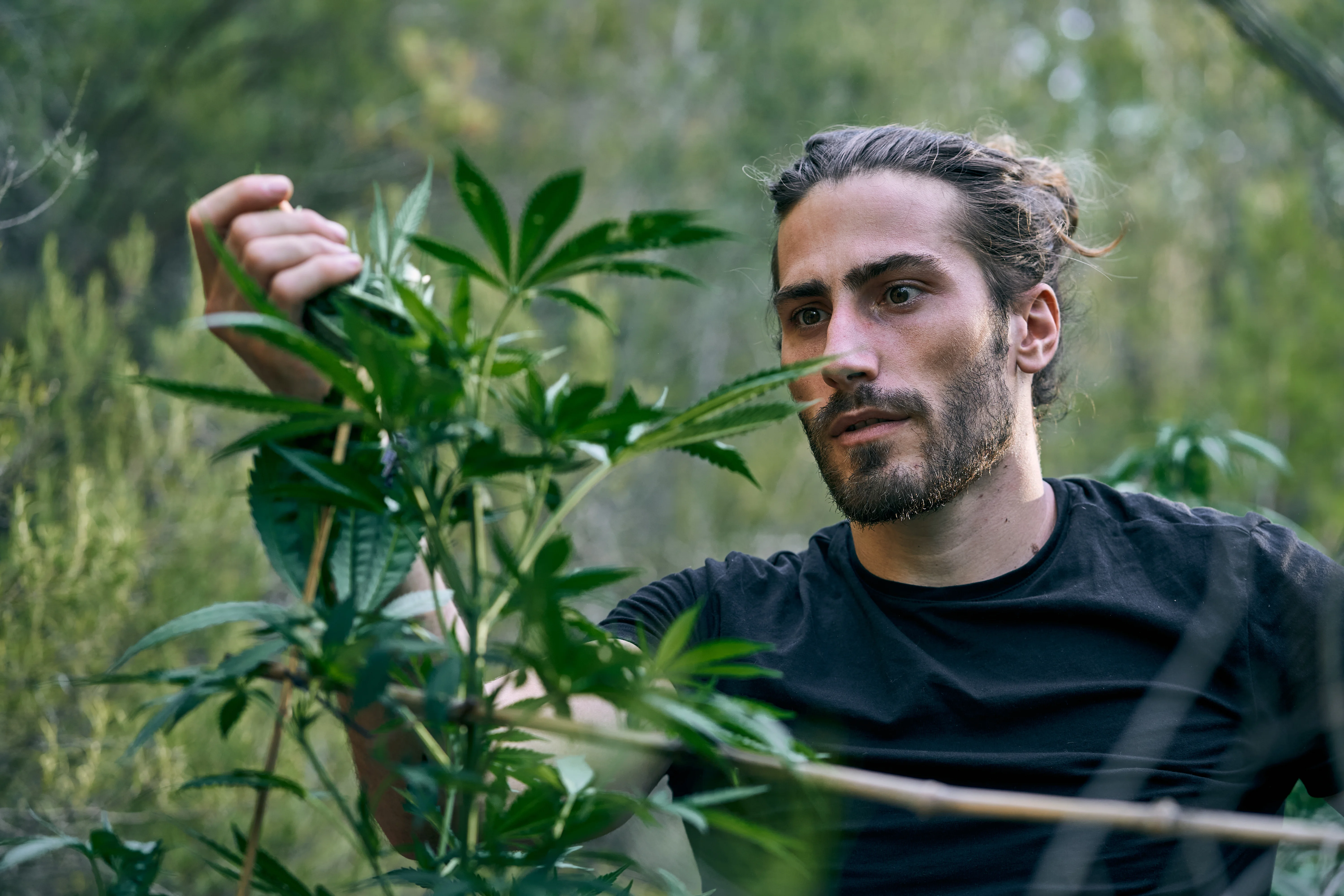 Persona joven informándose sobre cannabis medicinal